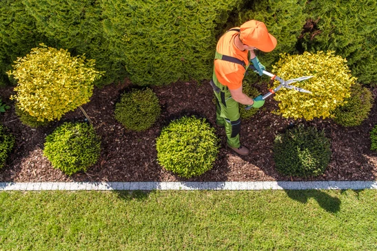 Jardinier professionnel en équipement de sécurité orange taille des arbustes ornementaux dans un espace paysager extérieur