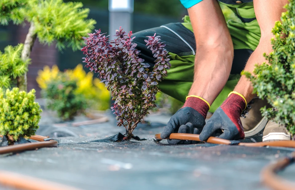 Photo réaliste d'une équipe de trois à quatre collaborateurs en tenue de travail professionnelle (vêtements de jardinage, gilets de visibilité ou polo de marque) travaillant ensemble à l'entretien ou à l'aménagement d'un jardin résidentiel. La scène doit montrer une interaction naturelle et bienveillante entre les professionnels : l'un taille une haie, un autre discute avec le propriétaire ou prépare des outils, reflétant l'écoute et la connaissance des besoins du client. Arrière-plan : jardin bien entretenu, équipements professionnels visibles (brouettes, outils). Lumière naturelle, photographie dynamique et chaleureuse mettant en avant la compétence, la fiabilité et la relation de confiance durable.
