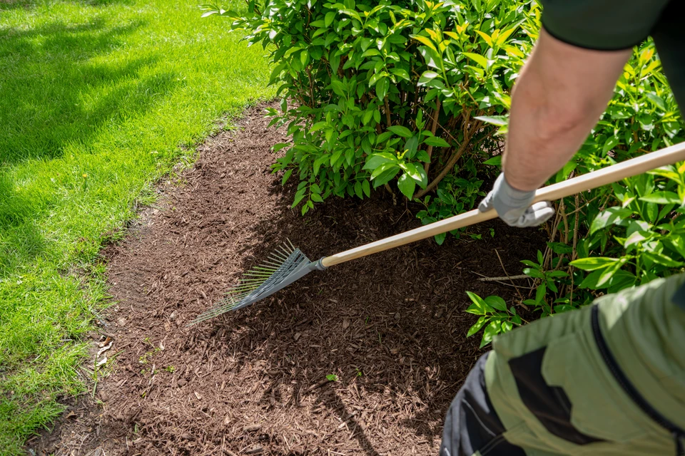 Un jardinier met la brouette avec les outils de jardinage dans les jardins